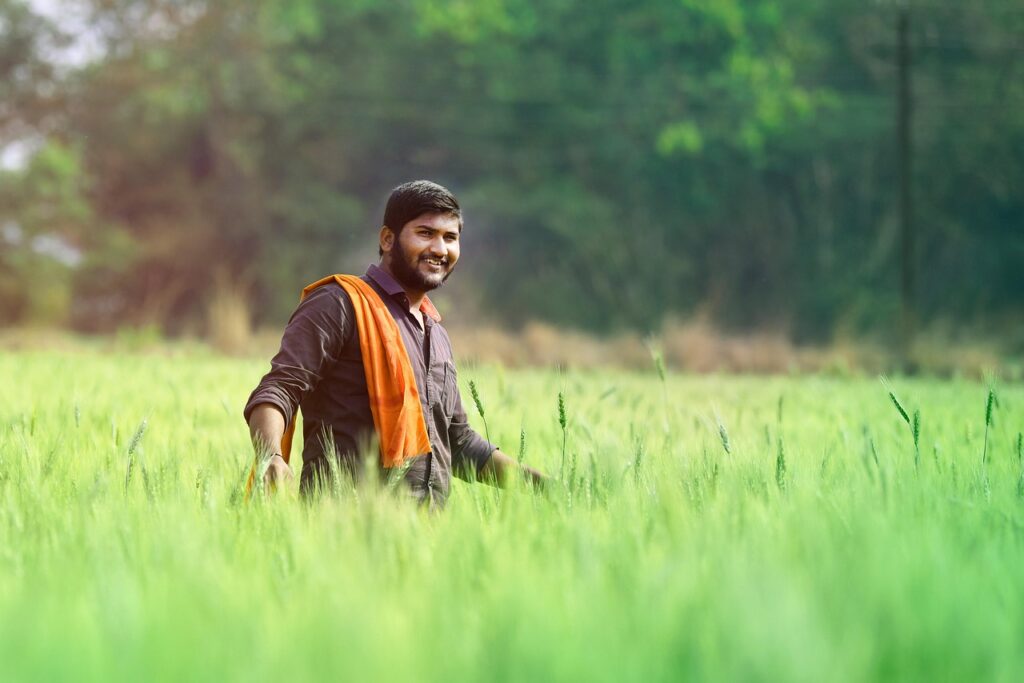 man, agriculture, farmer, agricultural, male, farm, men at work, rural, field, growth, crop, indian