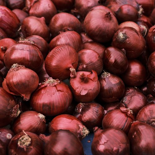 Onion